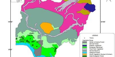 نقشه از نیجریه نشان دادن پوشش گیاهی